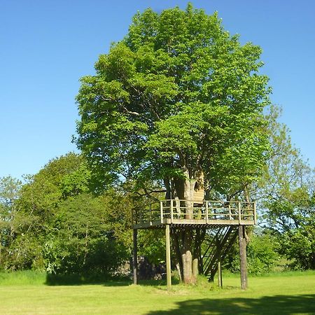 Newmoor Park Hotel Launceston Eksteriør billede