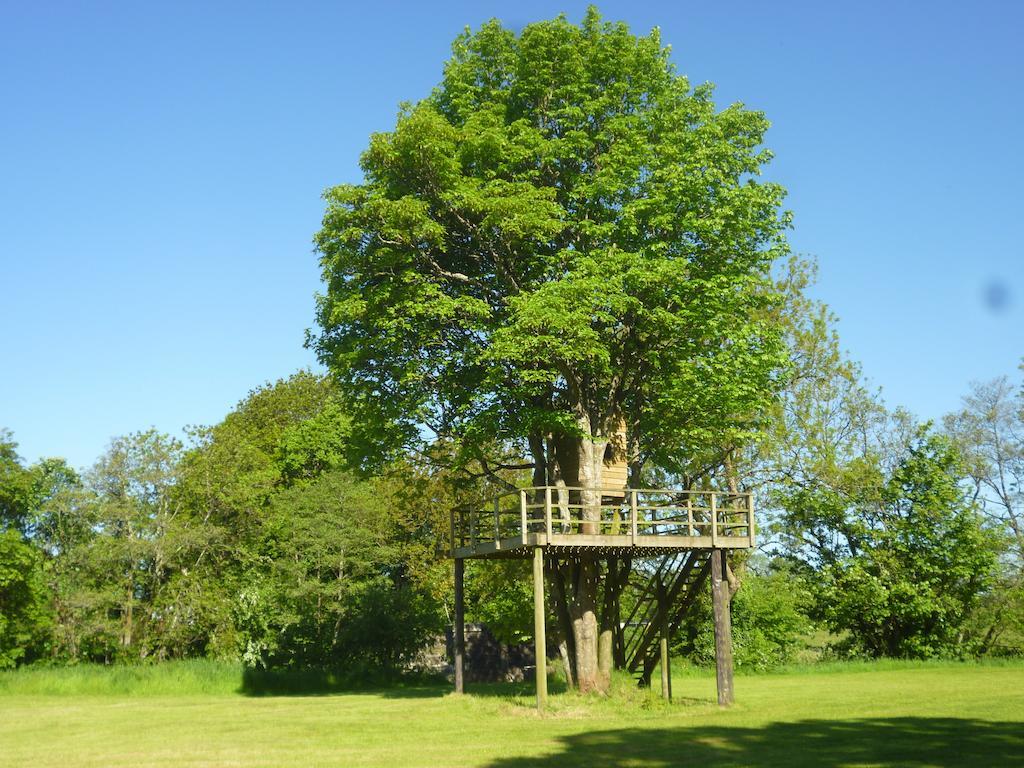 Newmoor Park Hotel Launceston Eksteriør billede