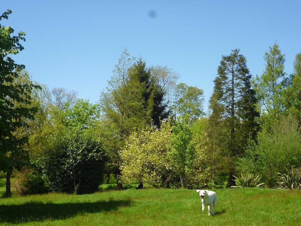 Newmoor Park Hotel Launceston Eksteriør billede