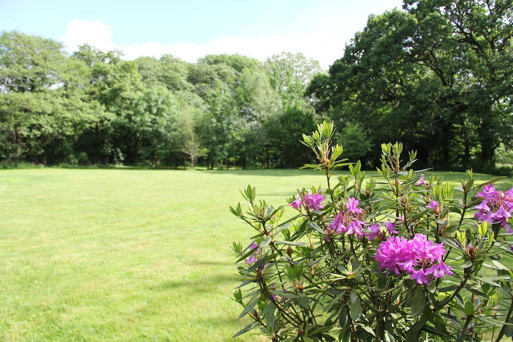 Newmoor Park Hotel Launceston Eksteriør billede