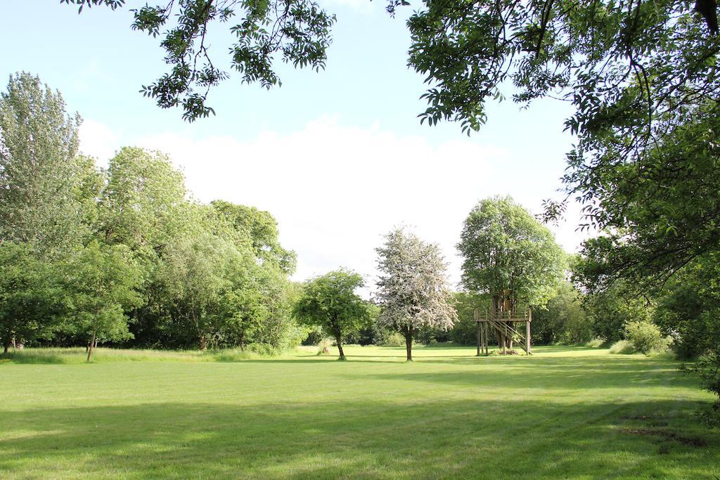 Newmoor Park Hotel Launceston Eksteriør billede