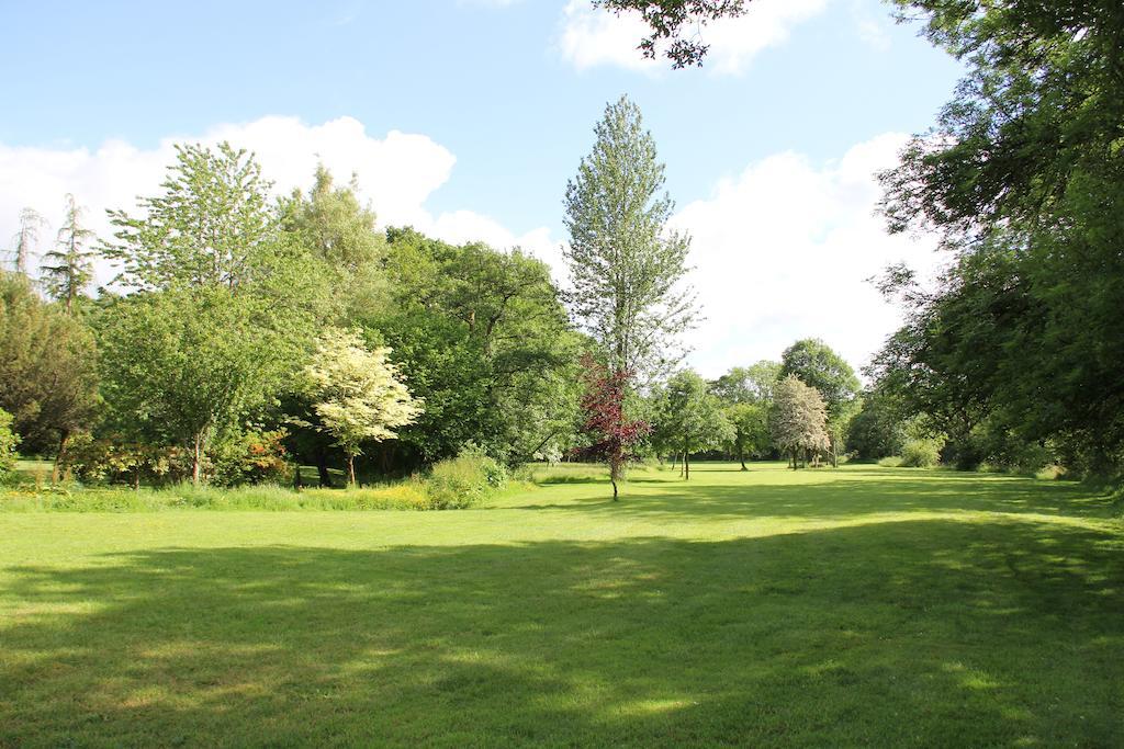 Newmoor Park Hotel Launceston Eksteriør billede