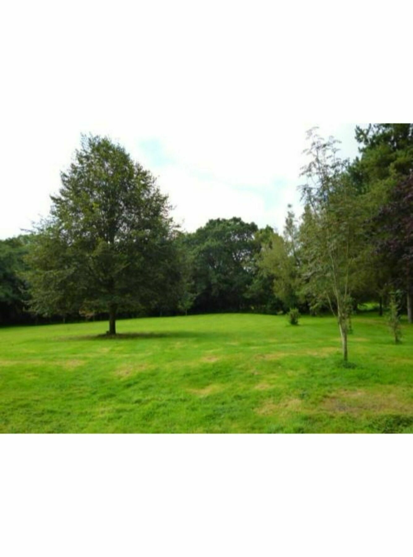 Newmoor Park Hotel Launceston Eksteriør billede
