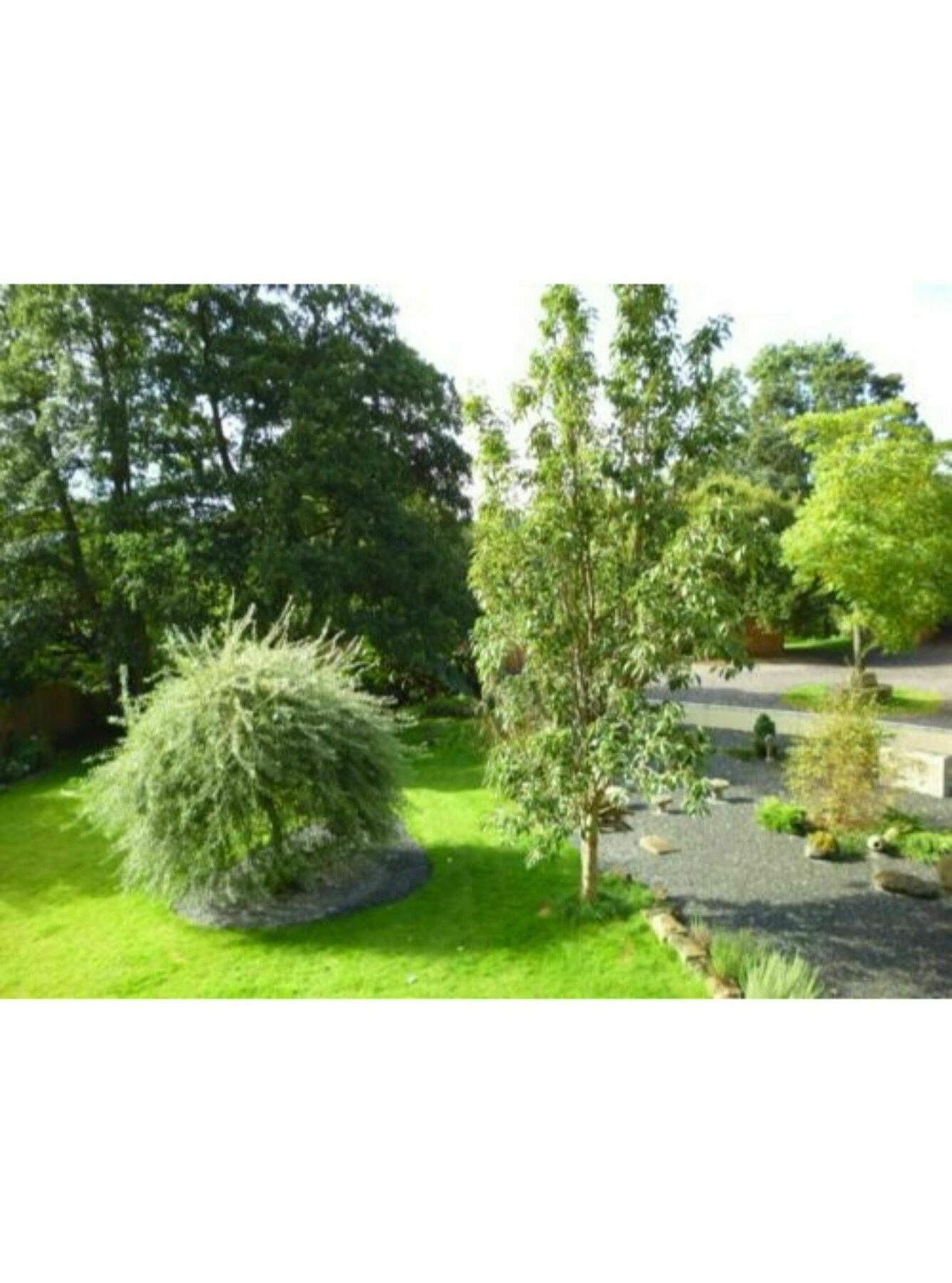 Newmoor Park Hotel Launceston Eksteriør billede
